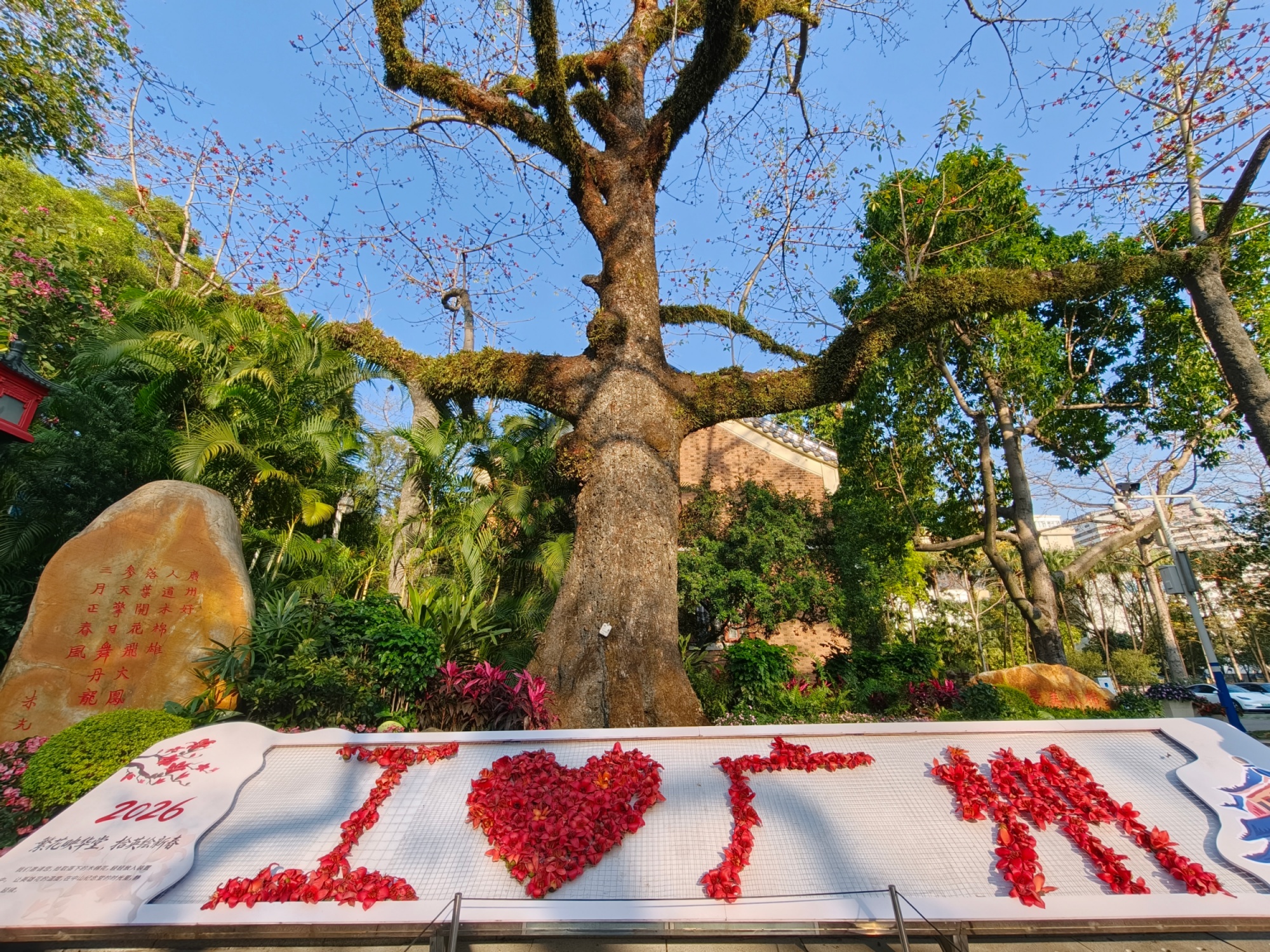 ����ɽ�����ö����ǣ�357��ġ�ľ�������Ļ�����ɡ��Ұ����ݡ�������������� ���ŵ���