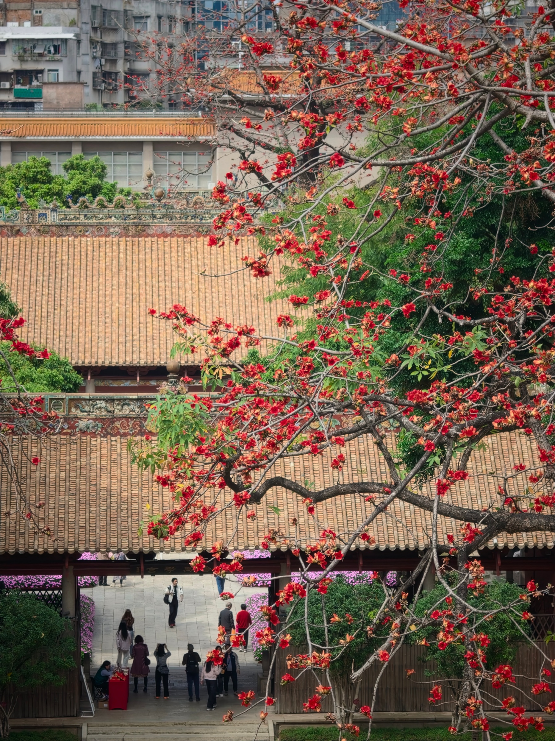 ľ�޻������棬��ũ��������ݺ�ǽ���߽����ӳ������������ ���ŵ���