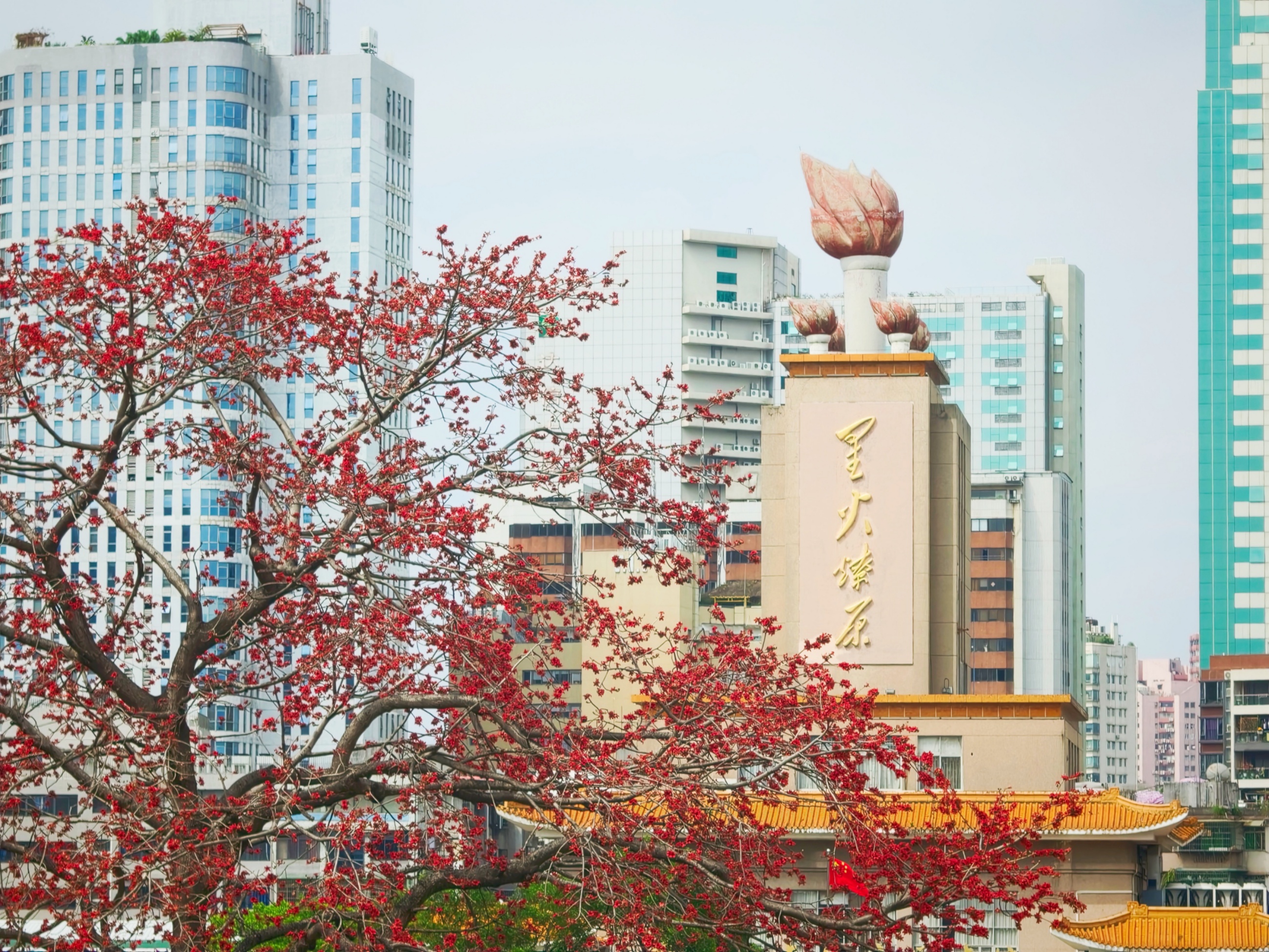 Ӣ�ۻ����������ǻ����������� ���ŵ���