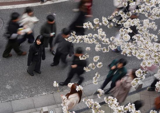 2025��3��30�գ��ο����ձ��׶�����Ŀ�ڴ�����ӣ���»�����߼ֺƳ���