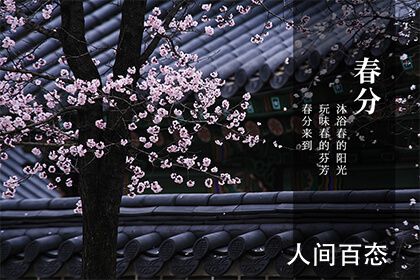 2021괺Ǽ¼ ڴ˽