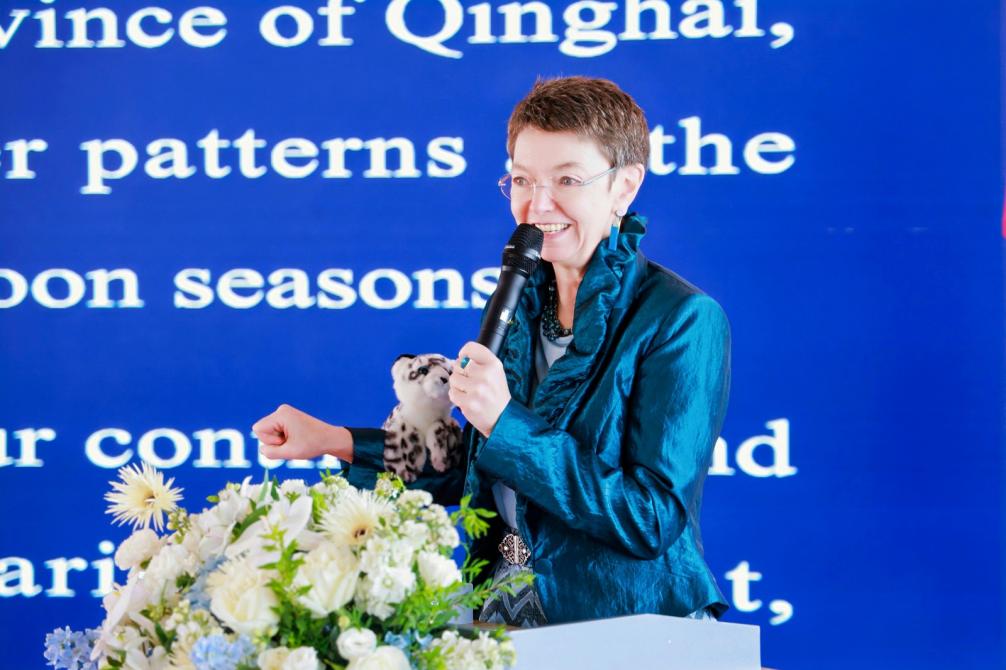 仯Ӱϲŵֻھ_fororder_Ჴ2