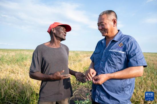 ����5��9�գ���Īɣ�ȿ˼���ʡ��������Īɣũҵ԰���й�Ա���͵���ũ����̸���»��緢���ŵ�˹���ɵ������㣩