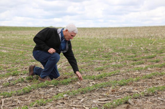 ������������һϵ�й�˰����Ӱ���£�������������ũ����������Ӫ�����ٽϴ�ȷ���ԡ���ͼƬ��Դ���»��磩