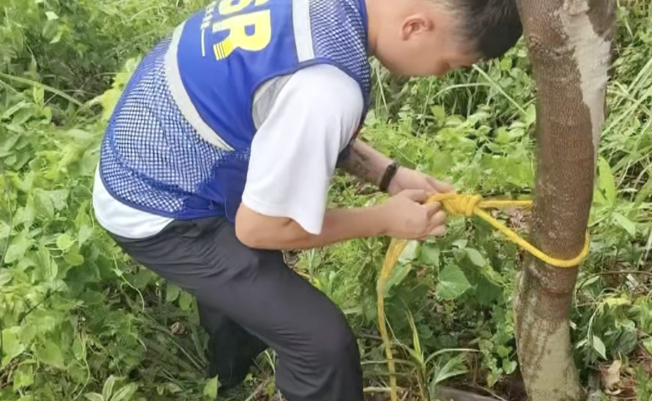 ѾԱϣɽ̽෽ԮɽѰʧŮͯýͼ