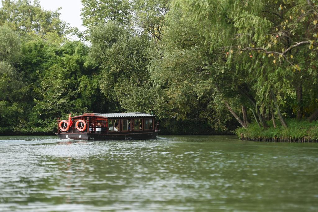 20241024գοͳδ㽭Ϫʪع۹⡣»߻