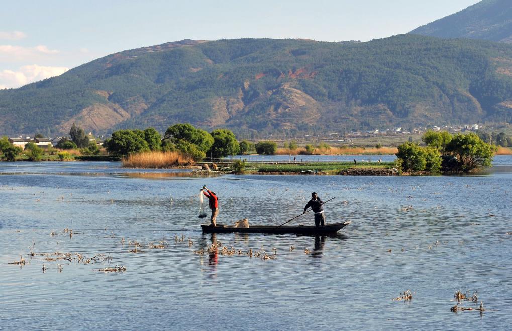 2014219գʡݶԴʪع԰»Թ