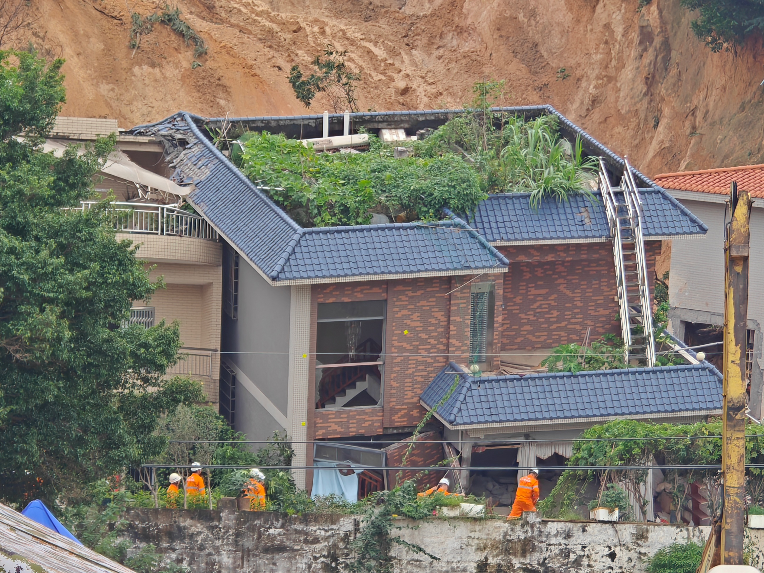 86գݰɽ廬¾Ԯֳ ŵ