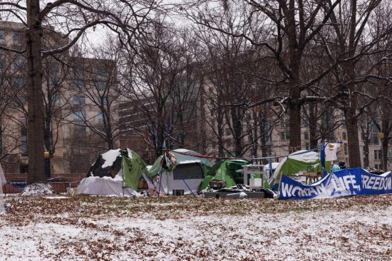 2024115գ׶ʢ٣޼ҿɹߵ񱻻ѩǡ»緢㣩