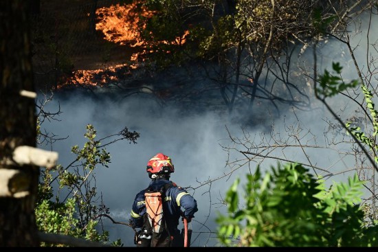 88գϣ׶ŵ䶫Լ35Ŀ̩ػ飬Ա»緢˹˹㣩