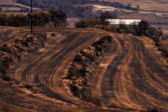 72ɭֻбջٵء»緢㣩