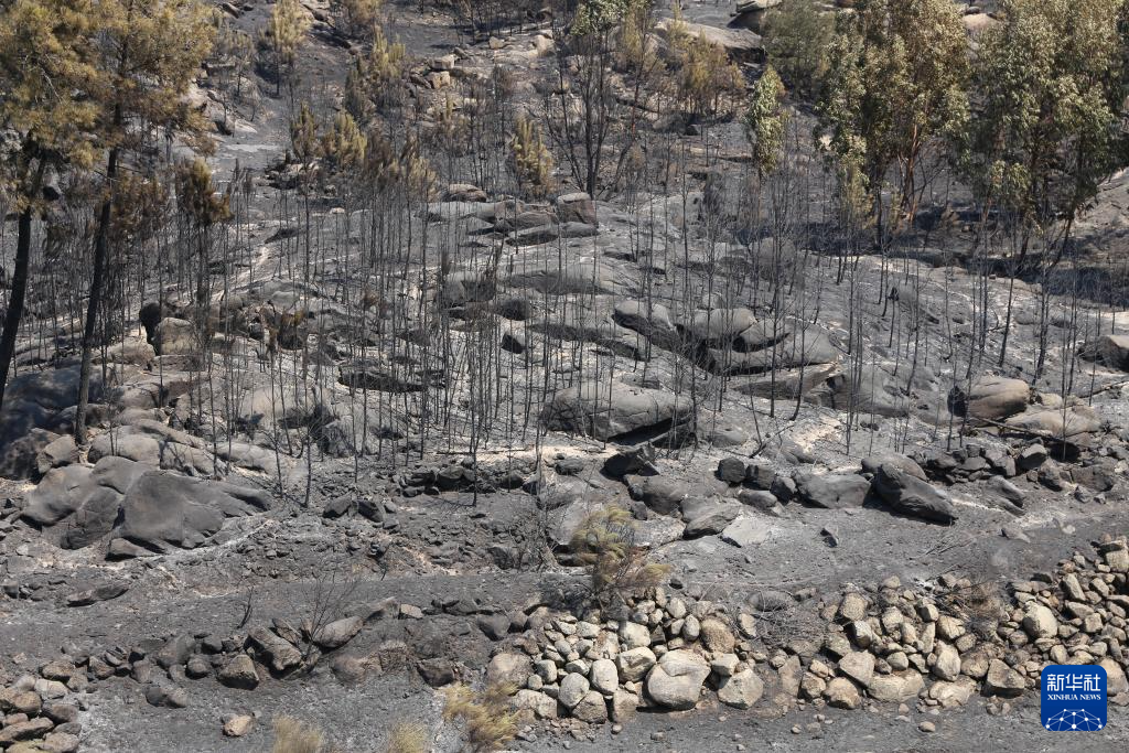 822ŵֱҰŵֱ۾̨» ΰ 