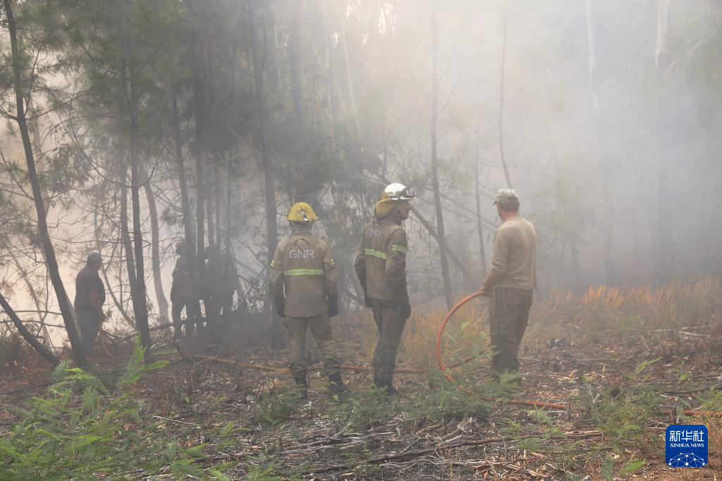 822գᰬʲԱڻ𳡹» ΰ 