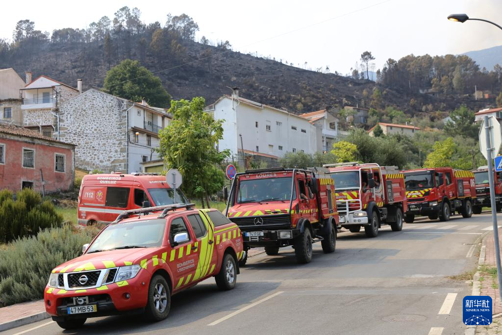 822գᰬʲڴפطֹҰȼ» ΰ 