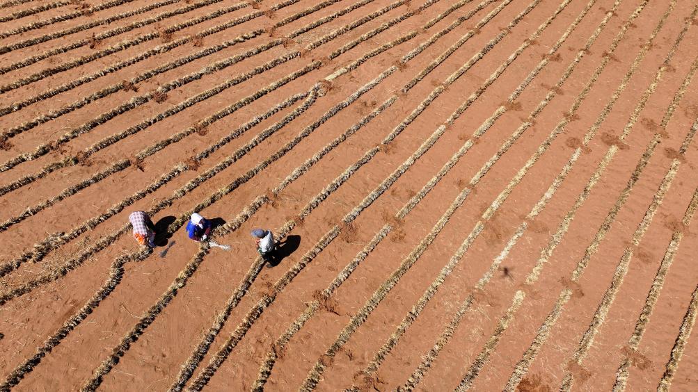 630гˮڸɳĮԵɳ߹ֳ˻Ƭ»  