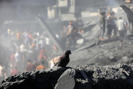 20231026գڼɳشϲк˹һֻͣԾϮµĽϡ»緢㣩