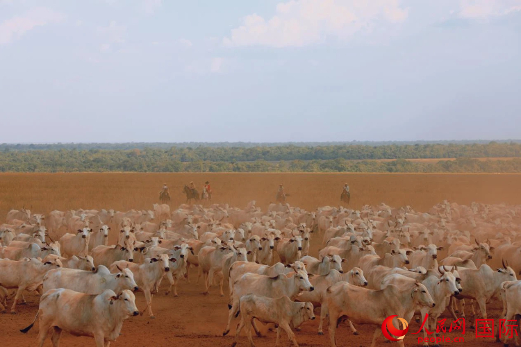 ݡһ廯ģʽݸڷţȺţȻӦ60%ϵĻʹãʵ̬뾭˫Ӯ һ