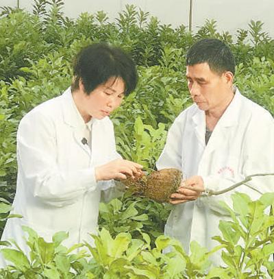  ɳվվڽɳ޲緱ũҵũֹͼ