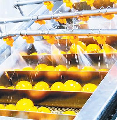 㽭ѹ߿ι˾Ͻϴֻ㣨Ӿ