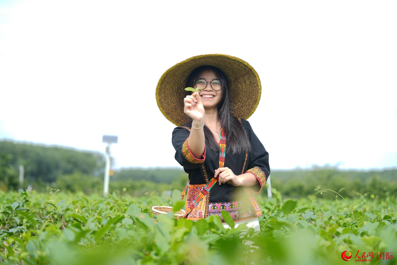 Խϼר֥ܺڰɳ·԰ɲ衣 ƽ㣩