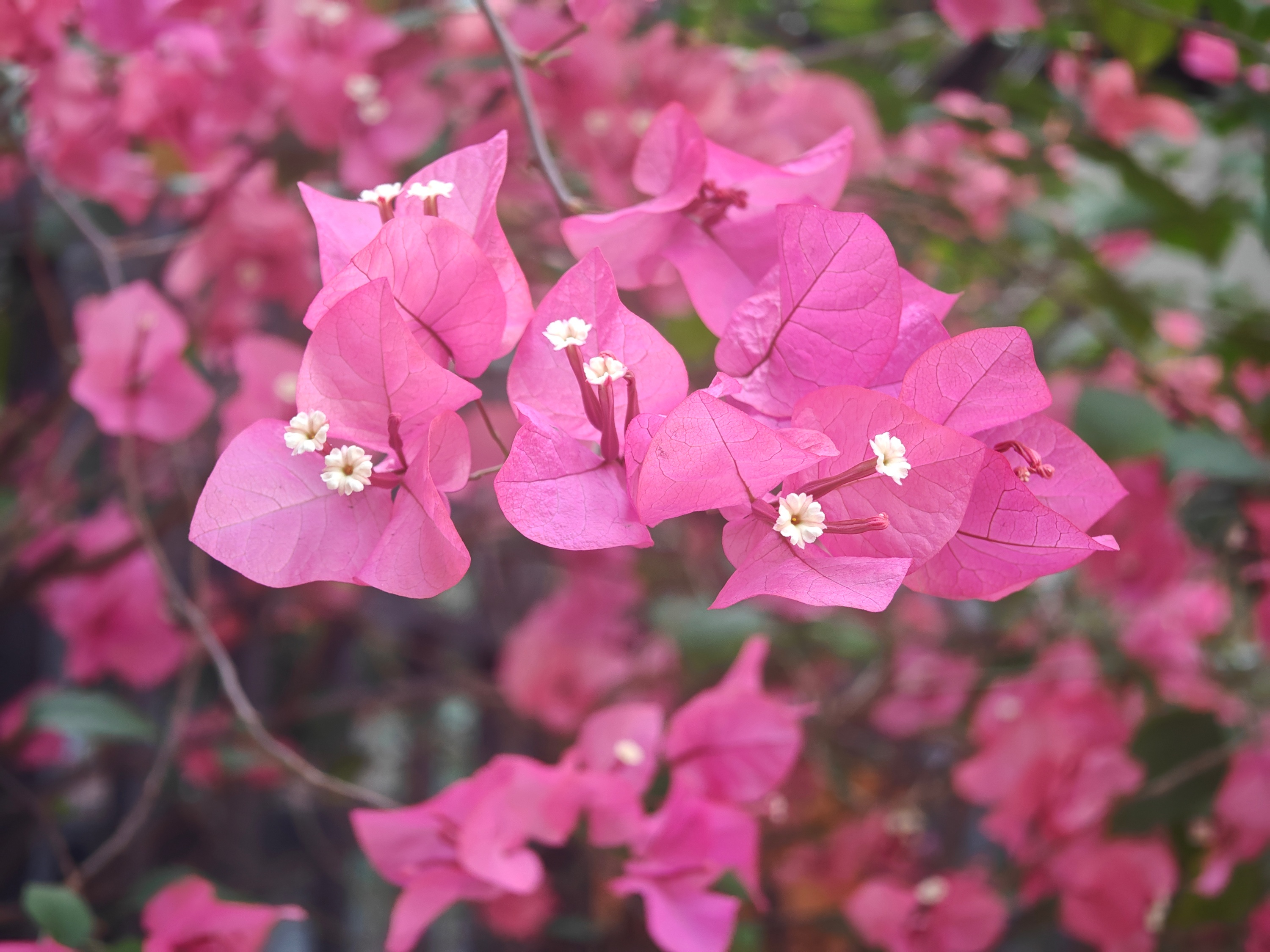 ����÷���Ź��ݽ�ͷ�������续������������һĨ��ů��ɫ�ʡ����������� ���ŵ���