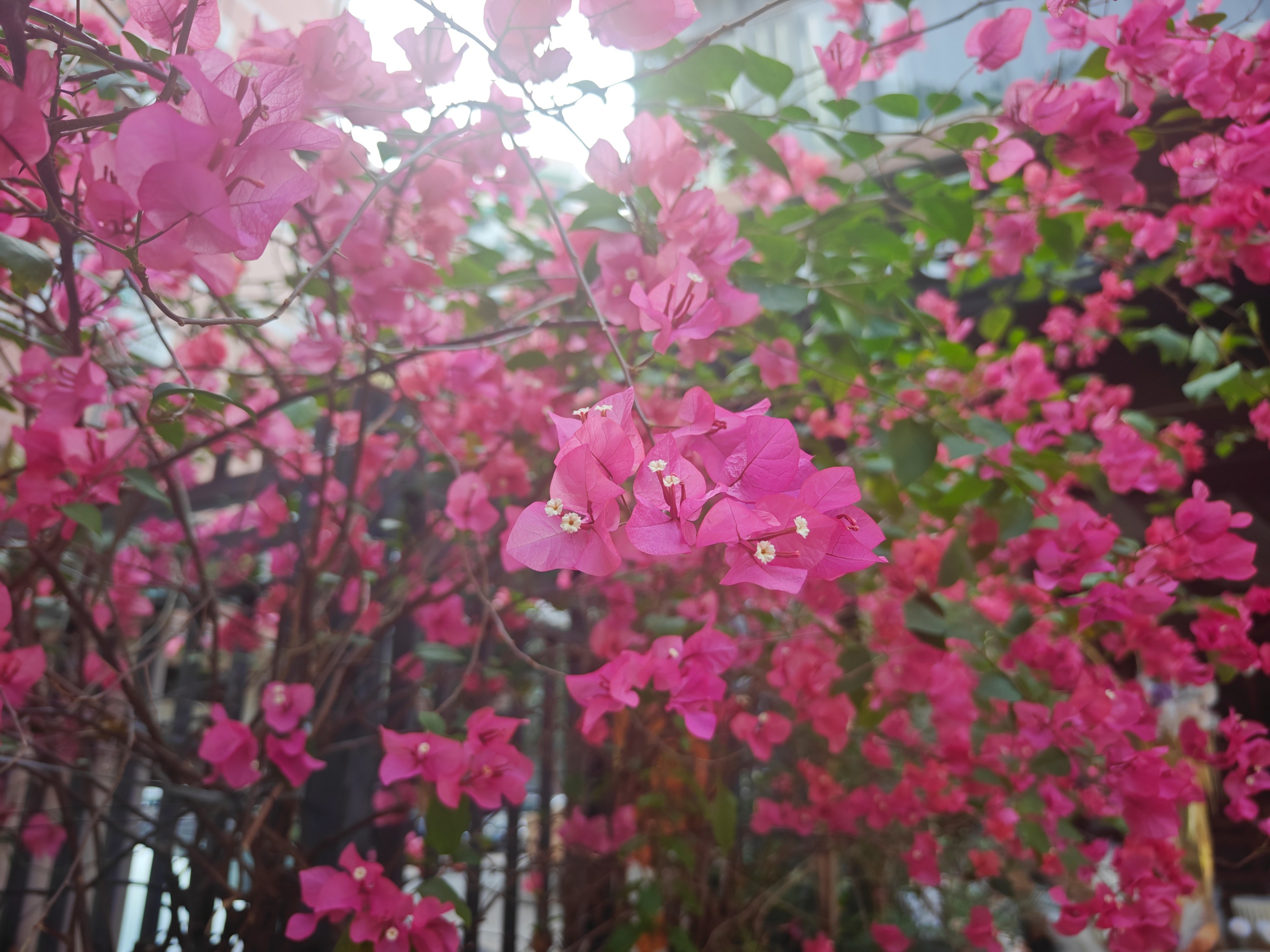 ����÷���ִ���÷����ȴ����÷�������������ֲ����������� ���ŵ���